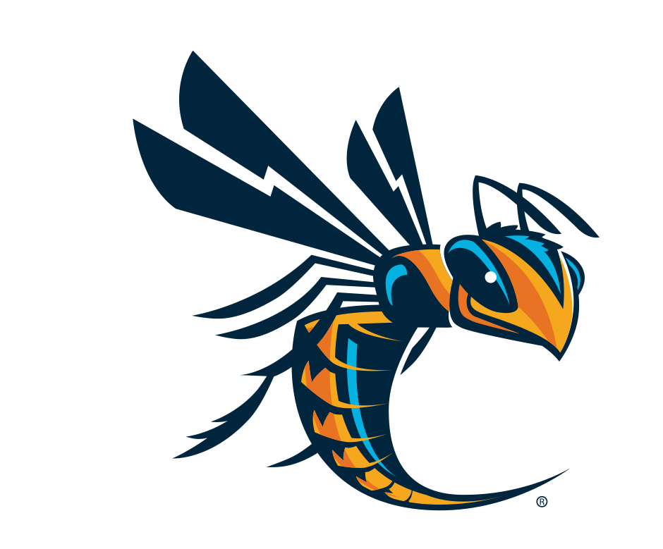 Cedarville Women's Basketball Camps